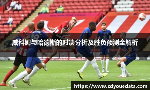 威科姆与哈德斯的对决分析及胜负预测全解析