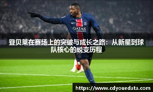 星空官网